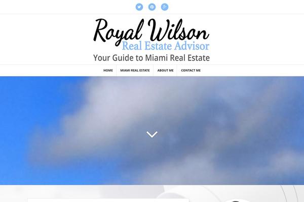 Amadeus theme site design template sample