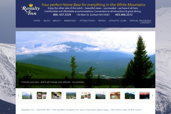 Acoustic theme site design template sample