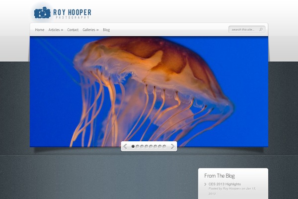 Deepfocus theme site design template sample