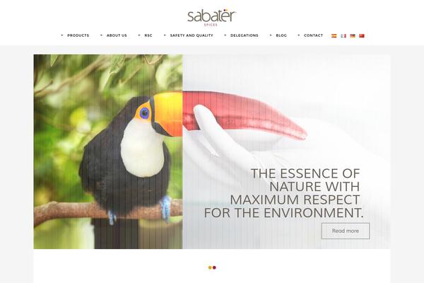 Paul theme site design template sample