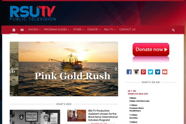 Magazin theme site design template sample