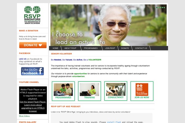 Helpinghands theme site design template sample