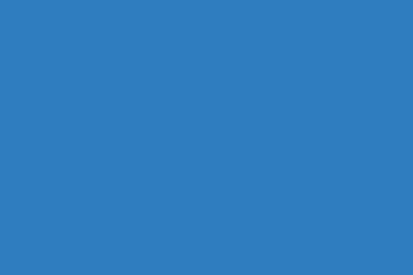 rtpay.org site used Worx_wp