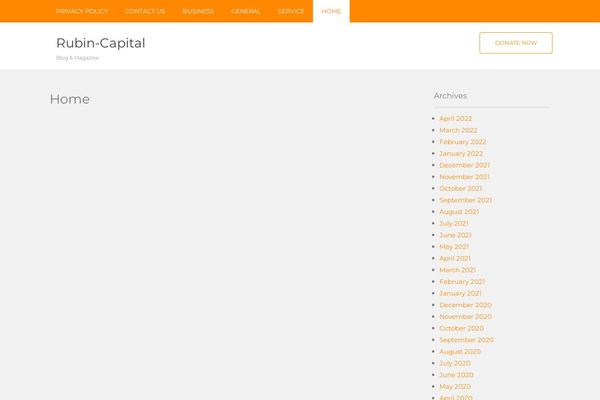 rubin-capital.com site used Vision-lite