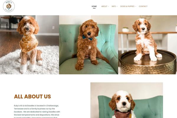 Site using Lastudio-header-footer-builders plugin
