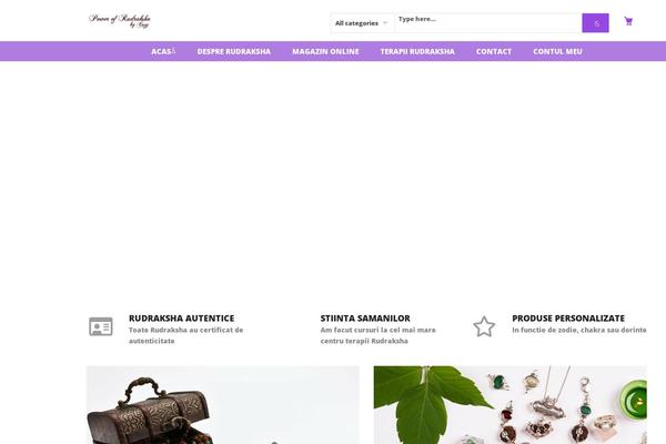 Xtocky theme site design template sample