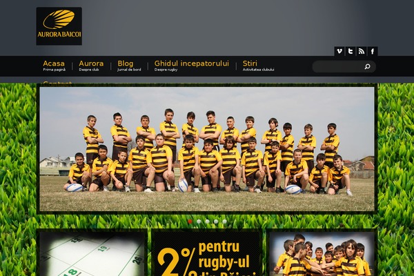 Aurora theme site design template sample