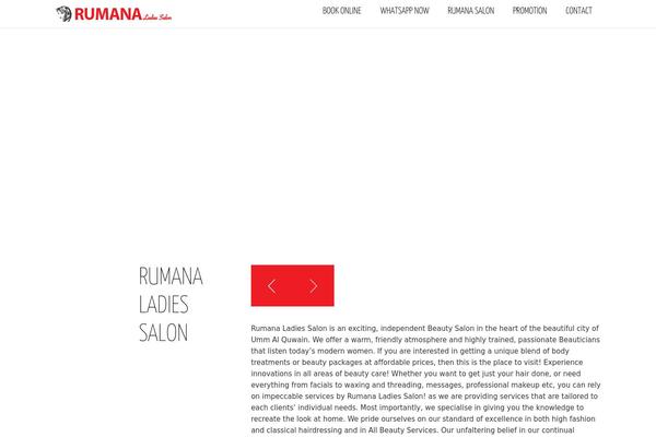 Blackair theme site design template sample