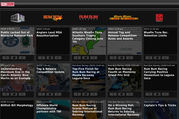 Starkers (Blank Theme) theme site design template sample
