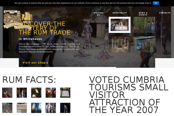 theme47786 theme websites examples