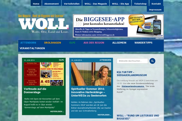 Newspaper Child theme site design template sample