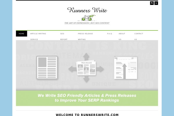 Surplus theme site design template sample