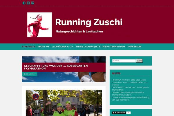 Site using WordPress Video Player plugin