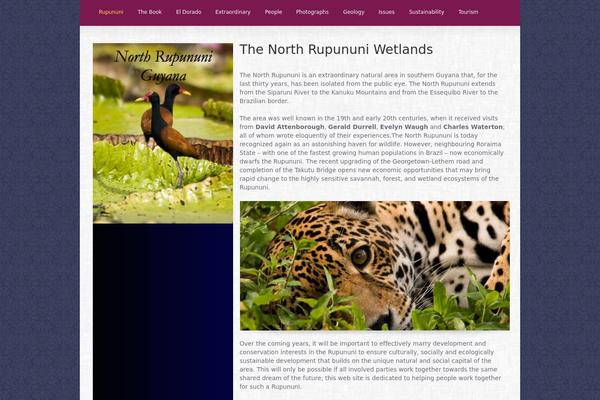 Striking theme site design template sample