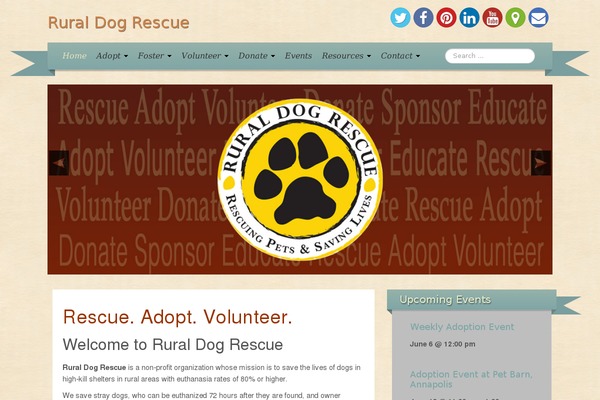 iRibbon theme site design template sample