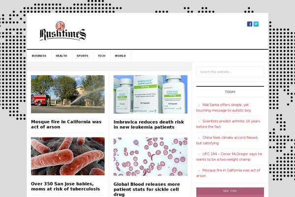 News Pro theme site design template sample