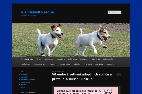 Site using Video Embed & Thumbnail Generator plugin