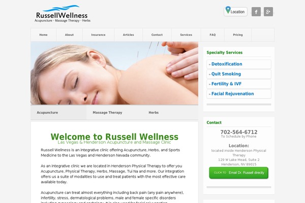 Pitch theme site design template sample