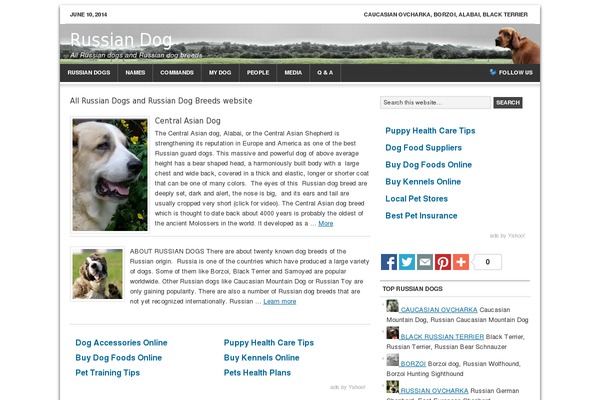 News Pro theme site design template sample