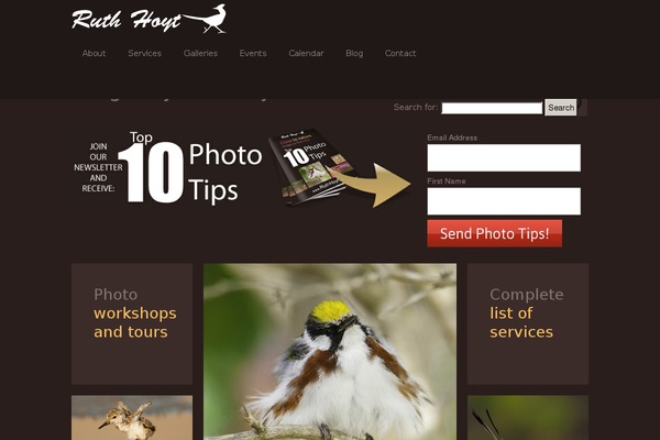 Yoo_moreno_wp theme site design template sample