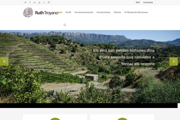 Salient theme site design template sample