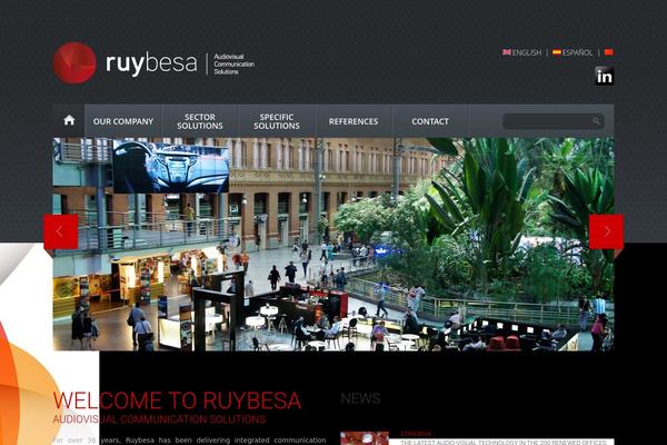 ruybesa.com site used Consultancy