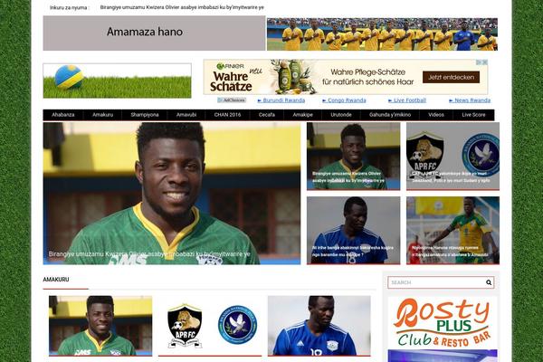ProfitMag theme site design template sample