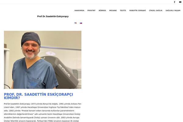 Porto theme site design template sample