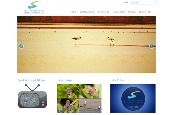 Site using Easy Responsive Tabs plugin