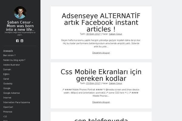 Site using CodeColorer plugin