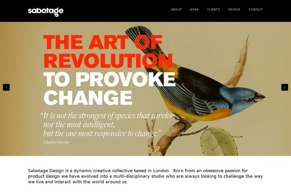 Wynn theme site design template sample