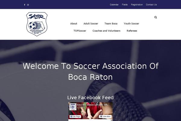 Teamsnap theme site design template sample