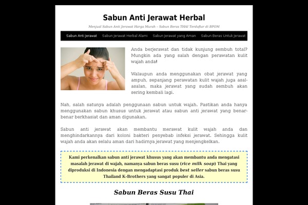 Landingblog theme site design template sample