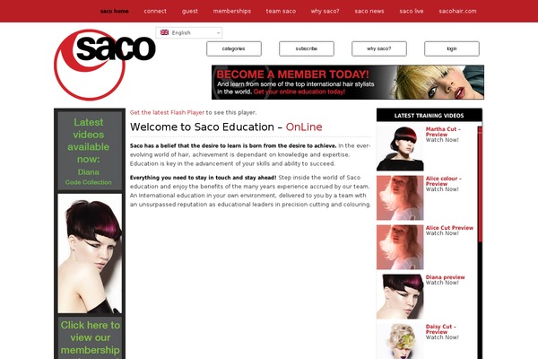 Site using FLV Embed plugin