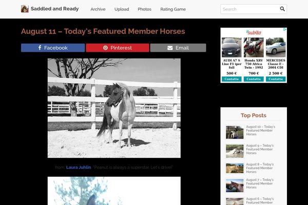 saddledandready.com site used Opalmine