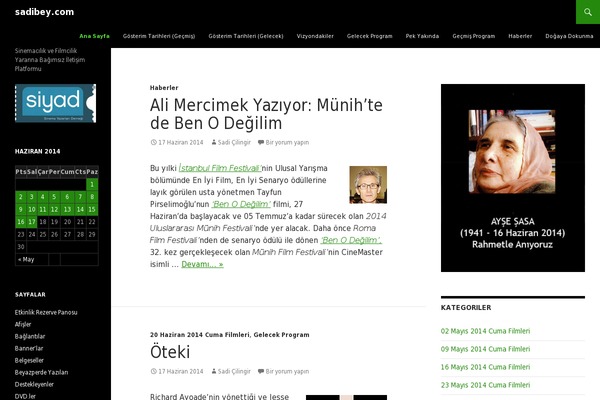 Twentyfourteen Child theme site design template sample