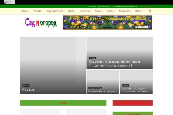 Newspaper theme site design template sample