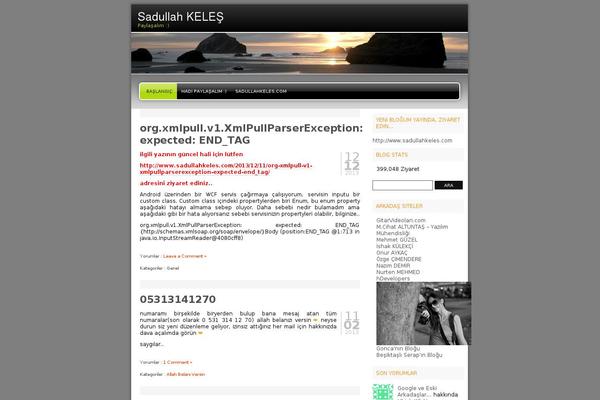 Site using SyntaxHighlighter Evolved plugin