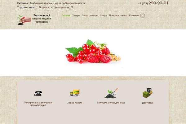 Site using Ci-shortcodes plugin