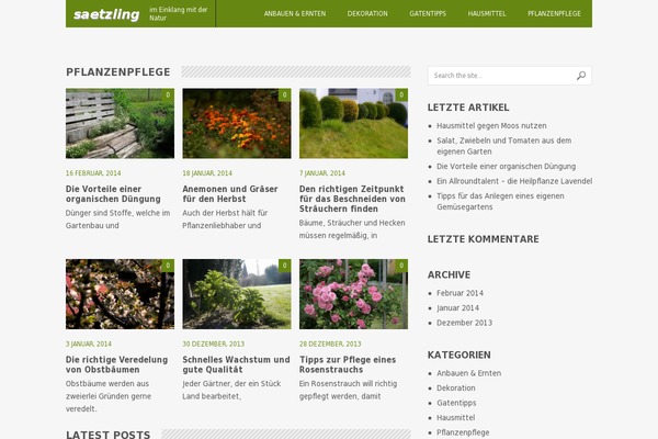 Daynight theme site design template sample