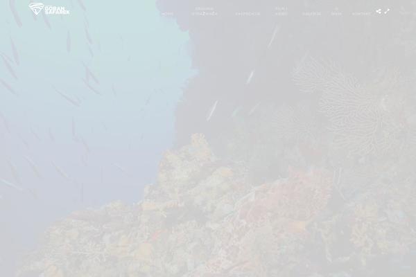 Photography theme site design template sample