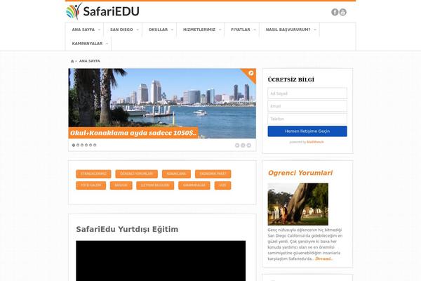 Swagger theme site design template sample