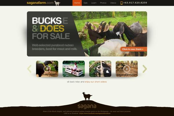 Newsite theme site design template sample