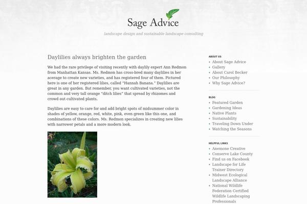 BlankSlate theme site design template sample
