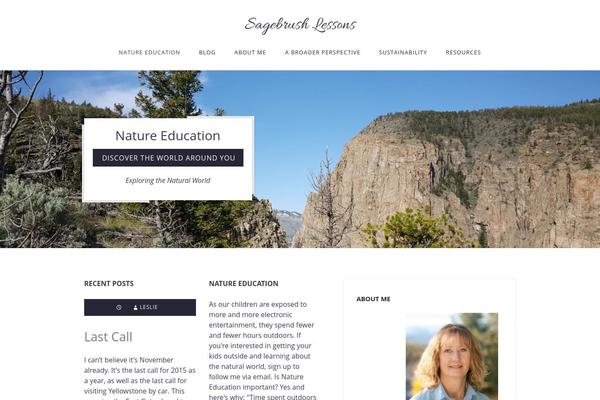 Passenger theme site design template sample