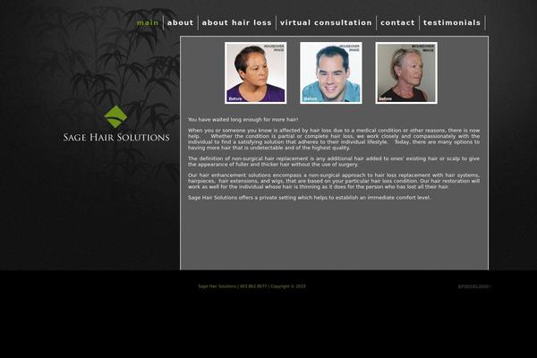 Headway-166 theme site design template sample