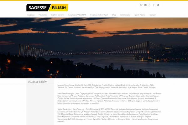 Sap theme site design template sample