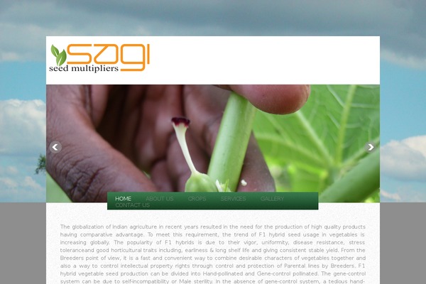Lamoon theme site design template sample