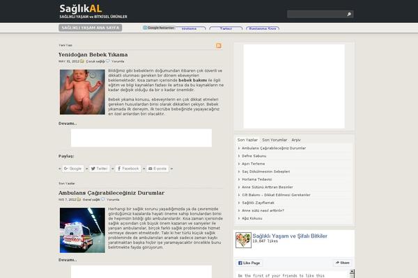 Sa theme site design template sample
