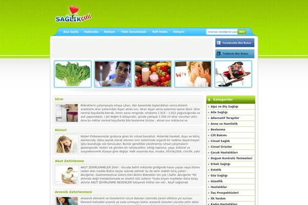 hsaglik theme websites examples